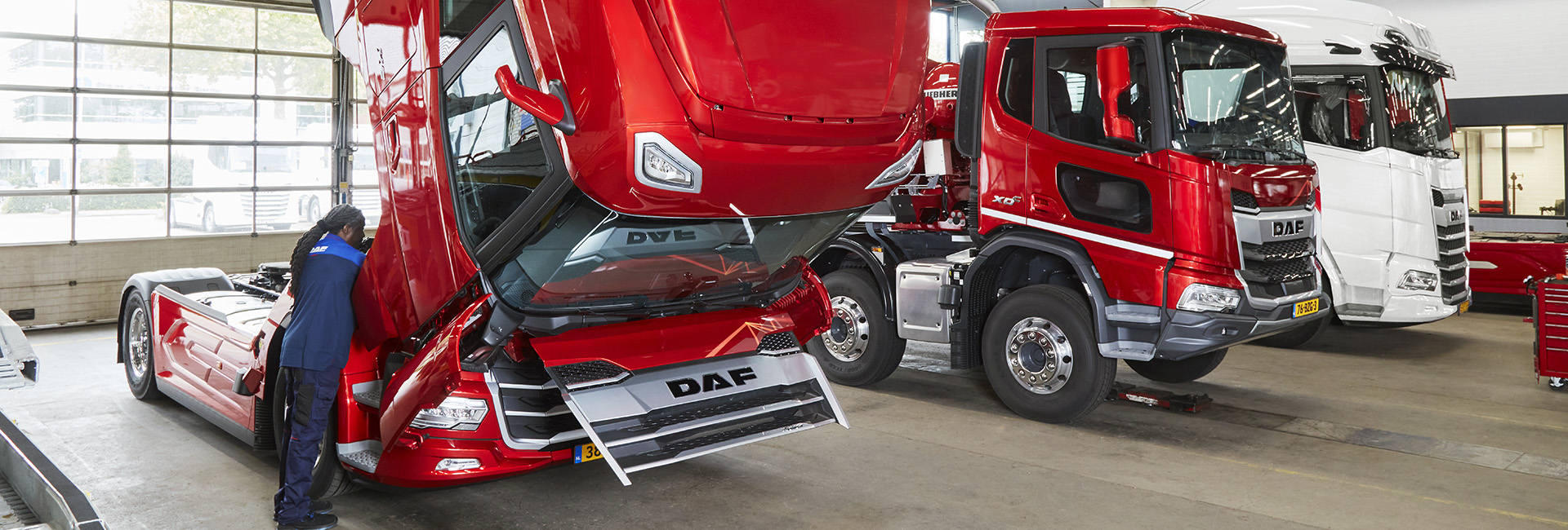 DAF dealer